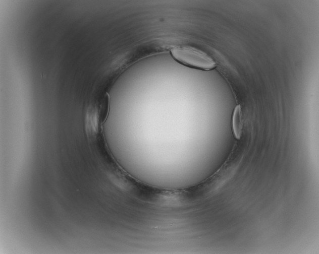 X0000112890076200908211039