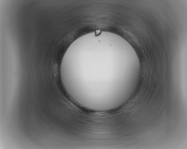 X0000112890077200908211039