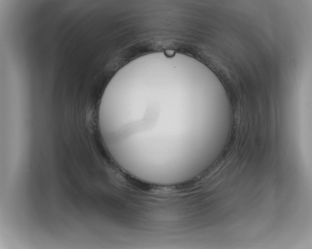 X0000112890079200908211039