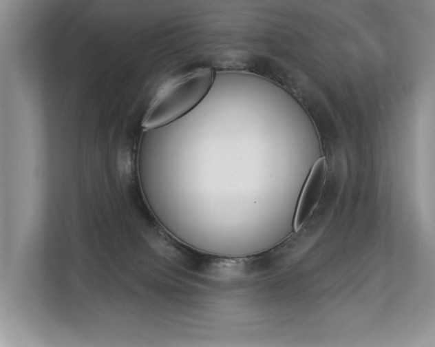 X0000112890084200908211039
