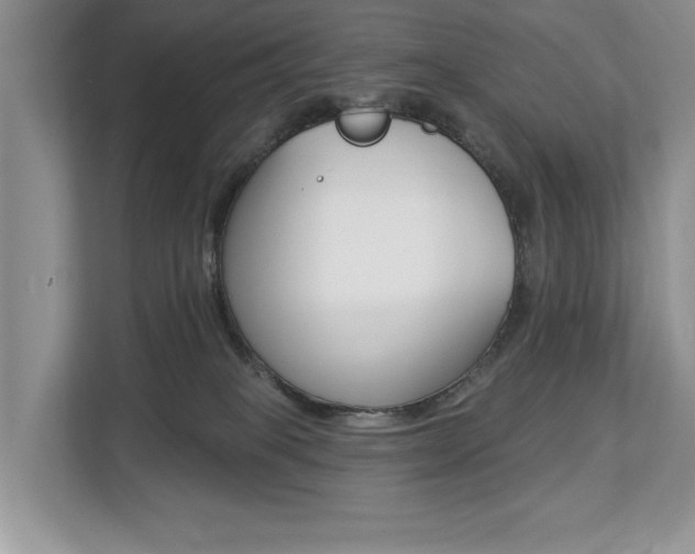 X0000112890085200908211039
