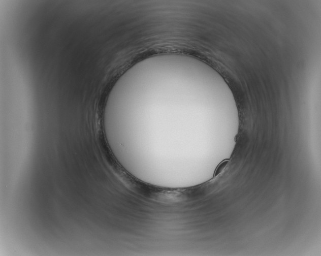 X0000112890086200908211039