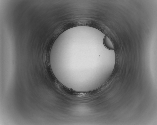 X0000112890091200908211039