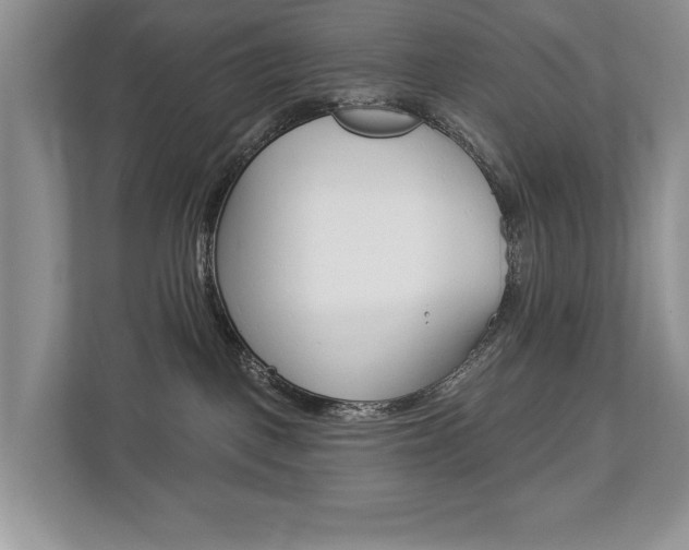 X0000112890093200908211039