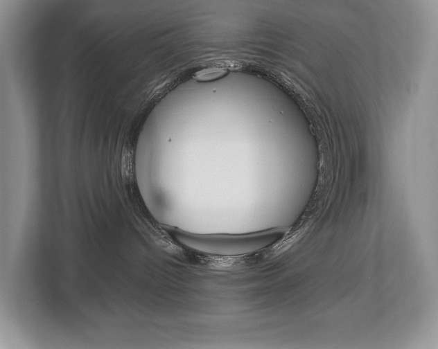 X0000112890096200908211039