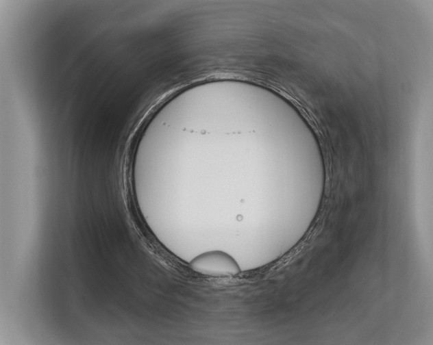 X0000112890098200908211038