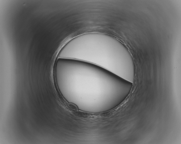 X0000112890099200908211038