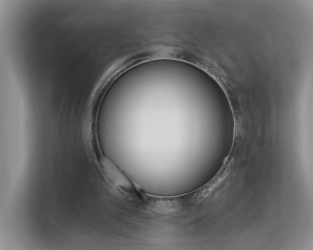 X0000112890101200908211038