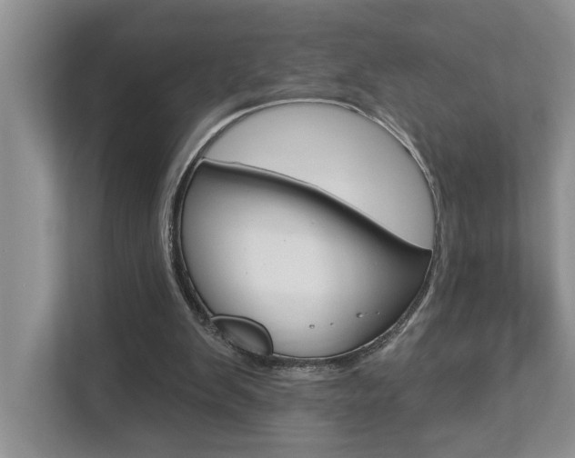 X0000112890103200908211038
