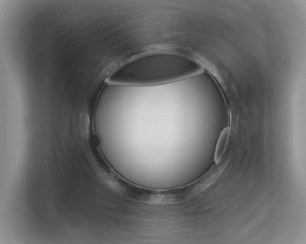 X0000112890109200908211038