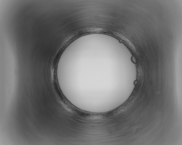 X0000112890110200908211038