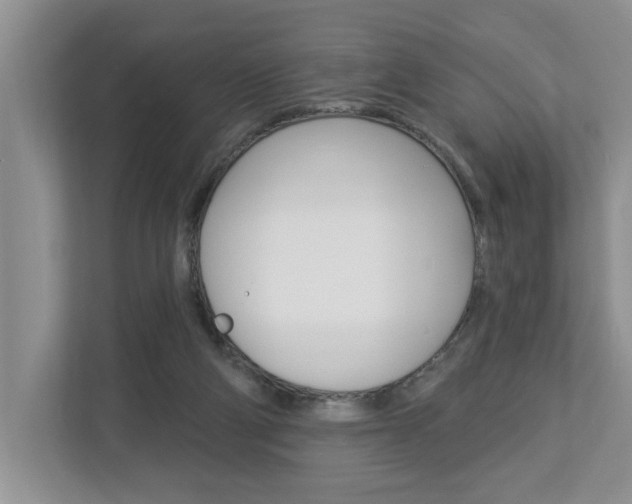 X0000112890114200908211038