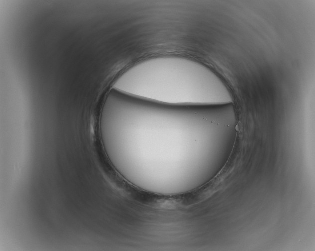 X0000112890115200908211038