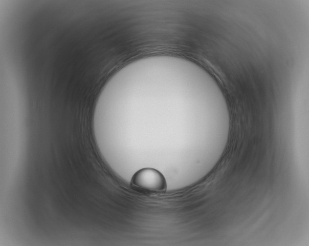 X0000112890117200908211038