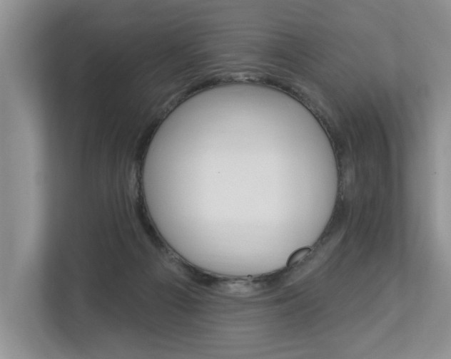 X0000112890121200908211038