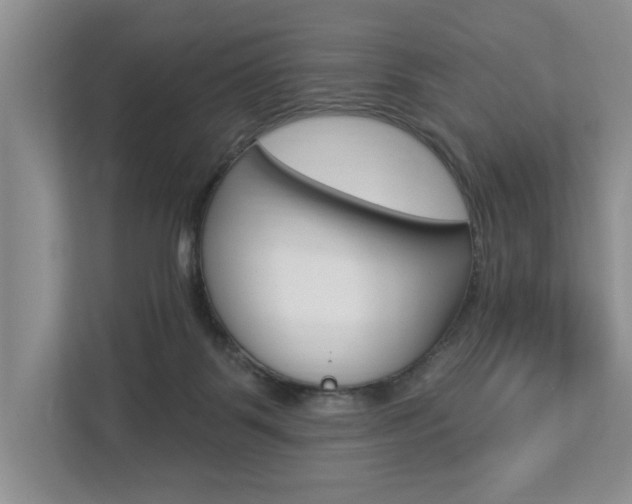 X0000112890123200908211038