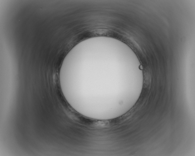 X0000112890126200908211038
