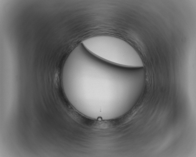 X0000112890127200908211038