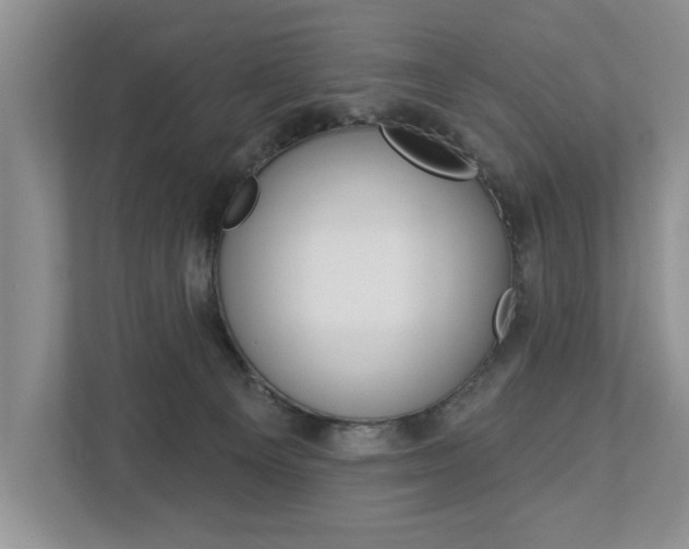 X0000112890129200908211038