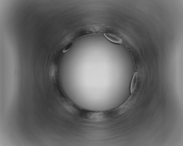 X0000112890132200908211038