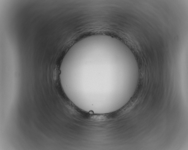 X0000112890133200908211038