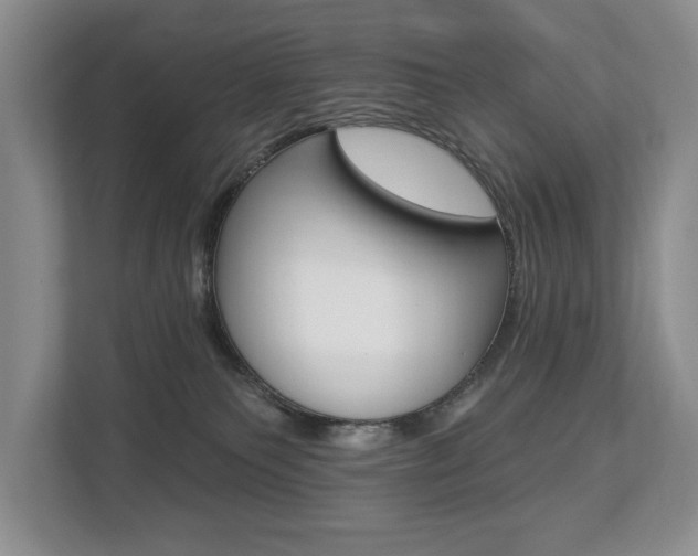 X0000112890135200908211038