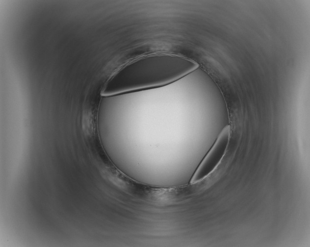 X0000112890136200908211038