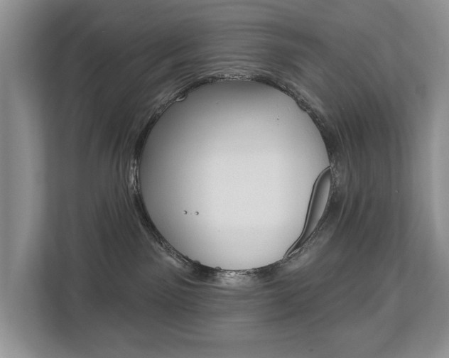 X0000112890141200908211038