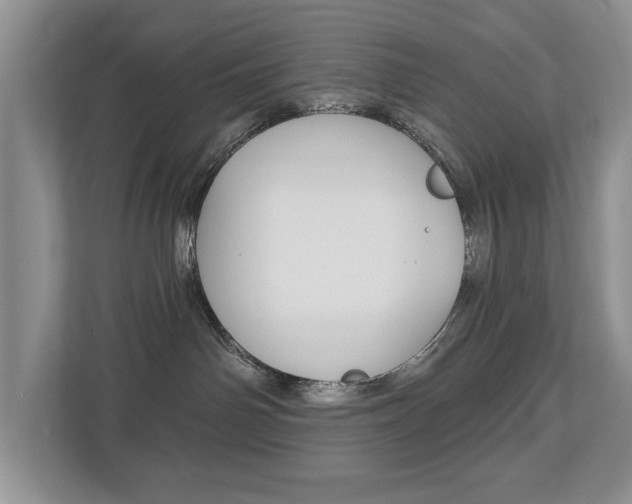 X0000112890142200908211038