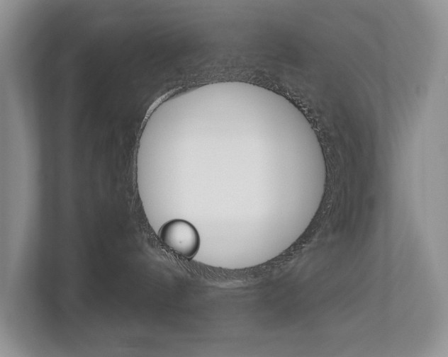 X0000112890144200908211038