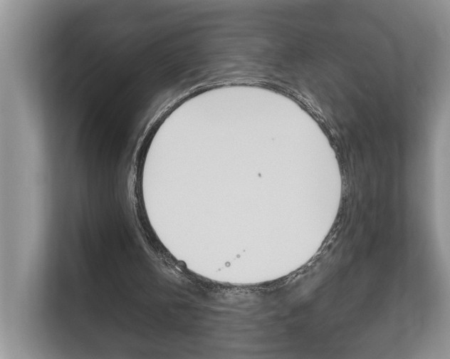 X0000112890146200908211037