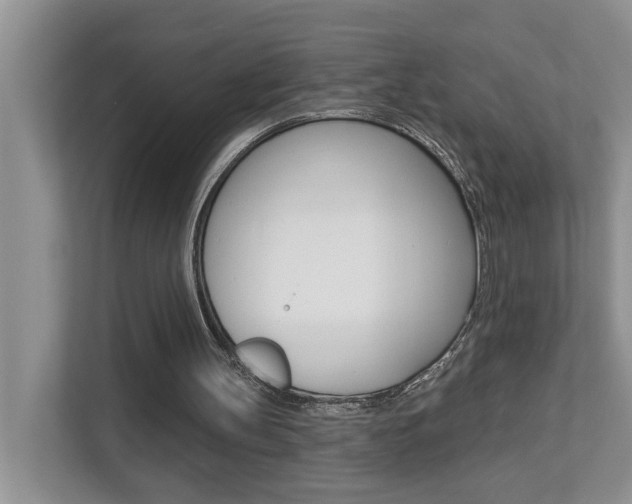 X0000112890147200908211037