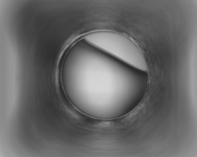 X0000112890152200908211037