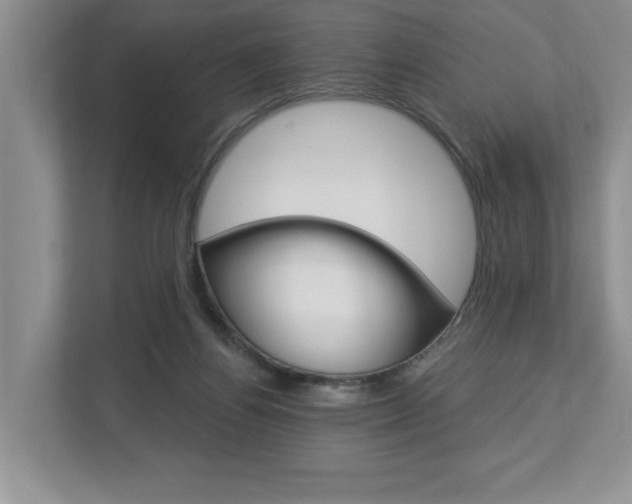 X0000112890164200908211037