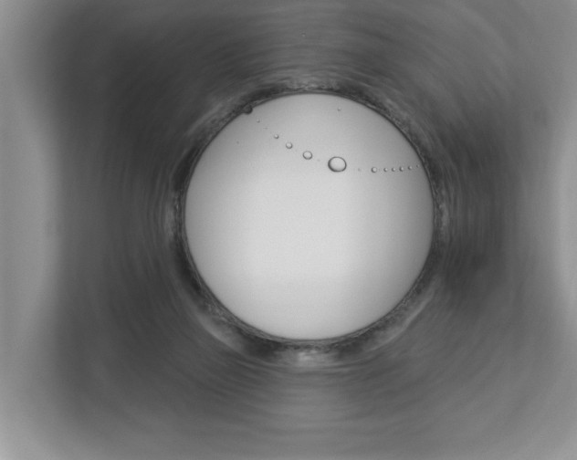 X0000112890165200908211037