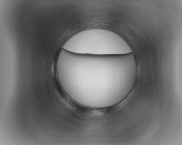 X0000112890166200908211037