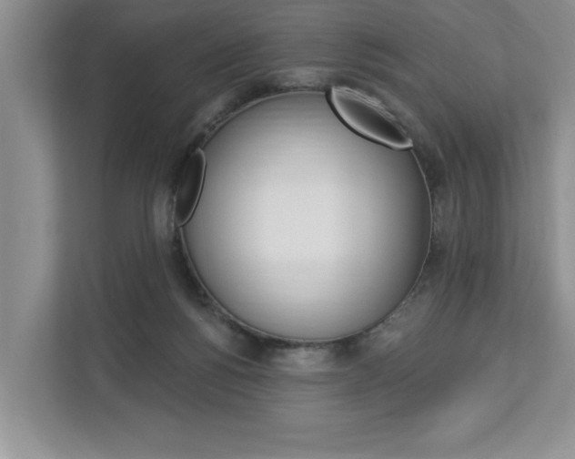 X0000112890168200908211037