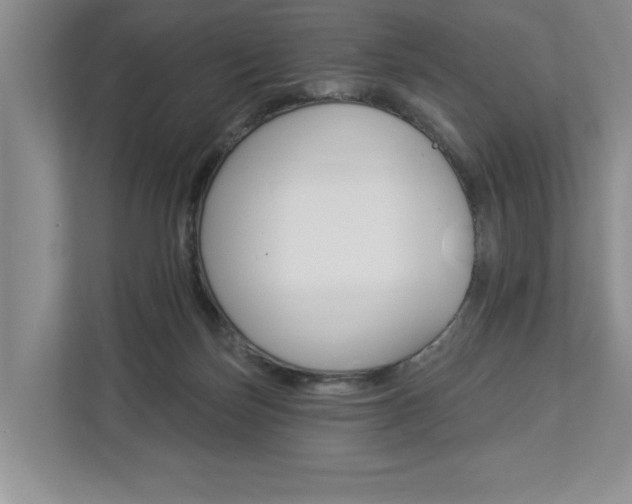 X0000112890171200908211037