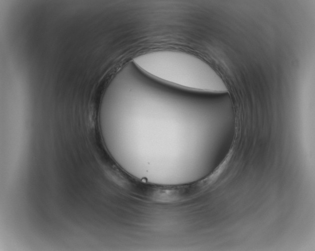 X0000112890174200908211037