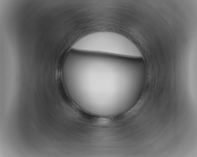 X0000112890176200908211037