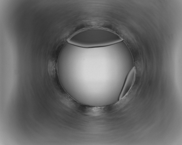 X0000112890184200908211037