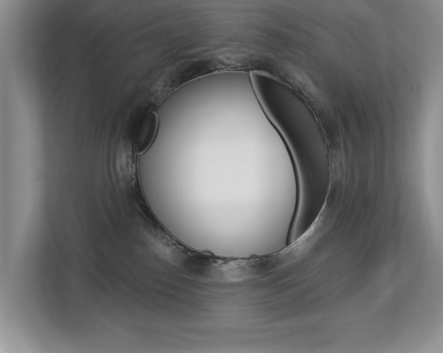 X0000112890186200908211037