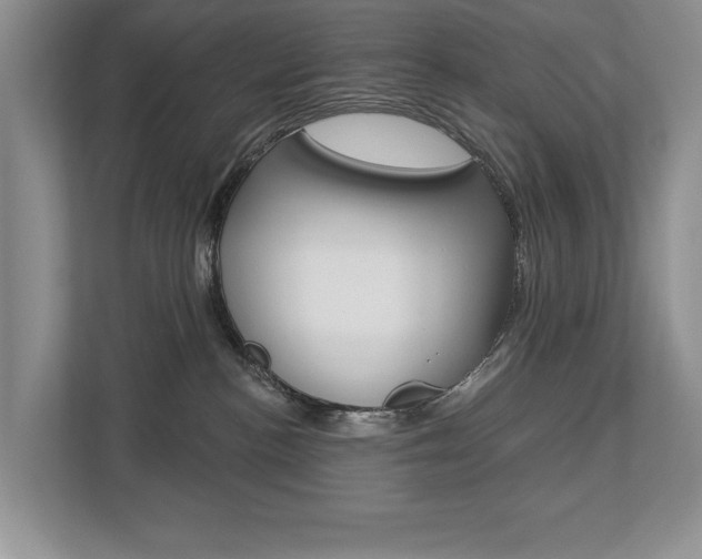 X0000112890188200908211037
