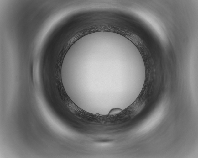 X0000112890189200908211037