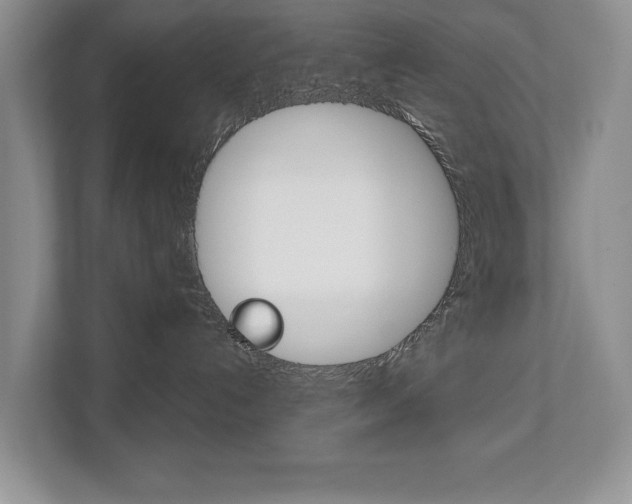 X0000112890192200908211038