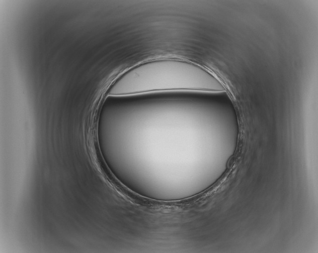 X0000112890193200908211037