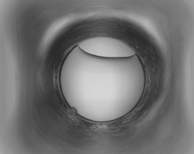 X0000112890194200908211037