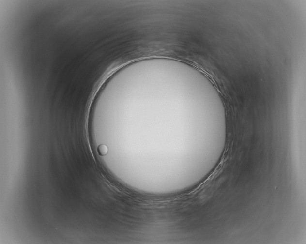 X0000112890195200908211037