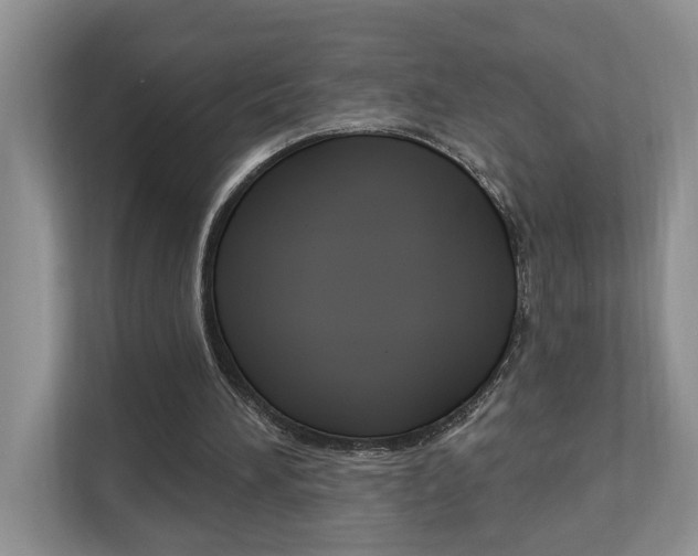 X0000112890196200908211037
