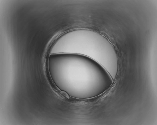 X0000112890197200908211037